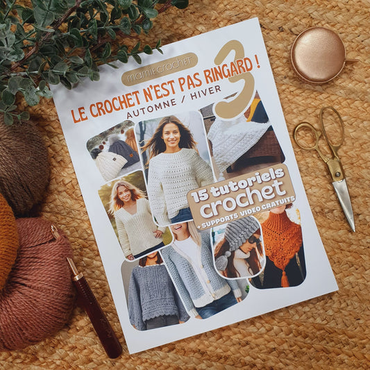 Le crochet n'est pas ringard 3 Version Ebook