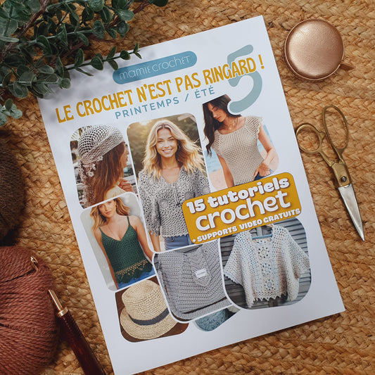 Le crochet n'est pas ringard 5 Version Ebook